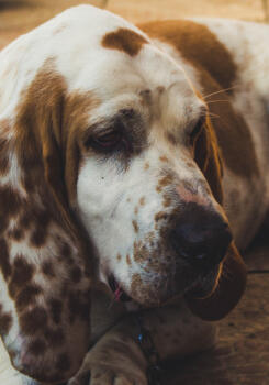 __alt__wbbz198hjigiit6v7h6pkh