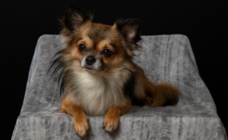 __alt__bk10f9rpl9nu6jluqw7vh